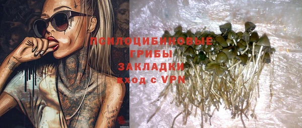 mix Бородино