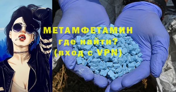 прущие грибы Покачи