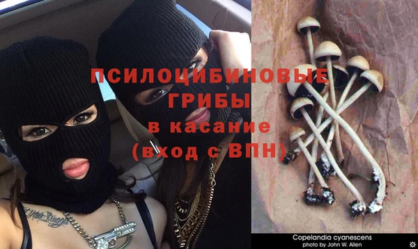 mix Бородино