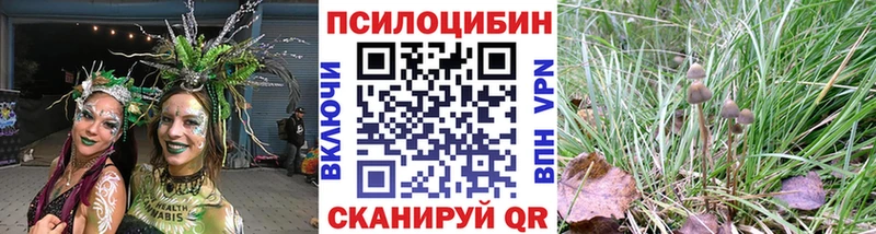Псилоцибиновые грибы Magic Shrooms  даркнет сайт  Каспийск 